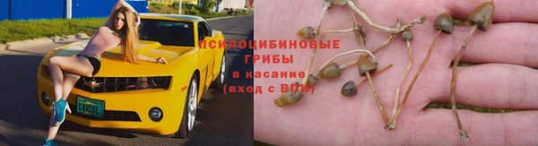 МДПВ Алзамай