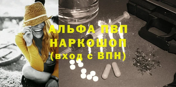 индика Абинск