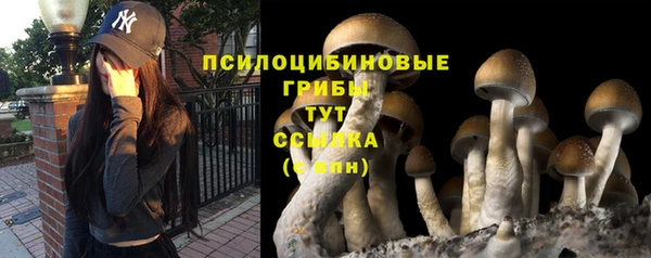 MESCALINE Новодвинск